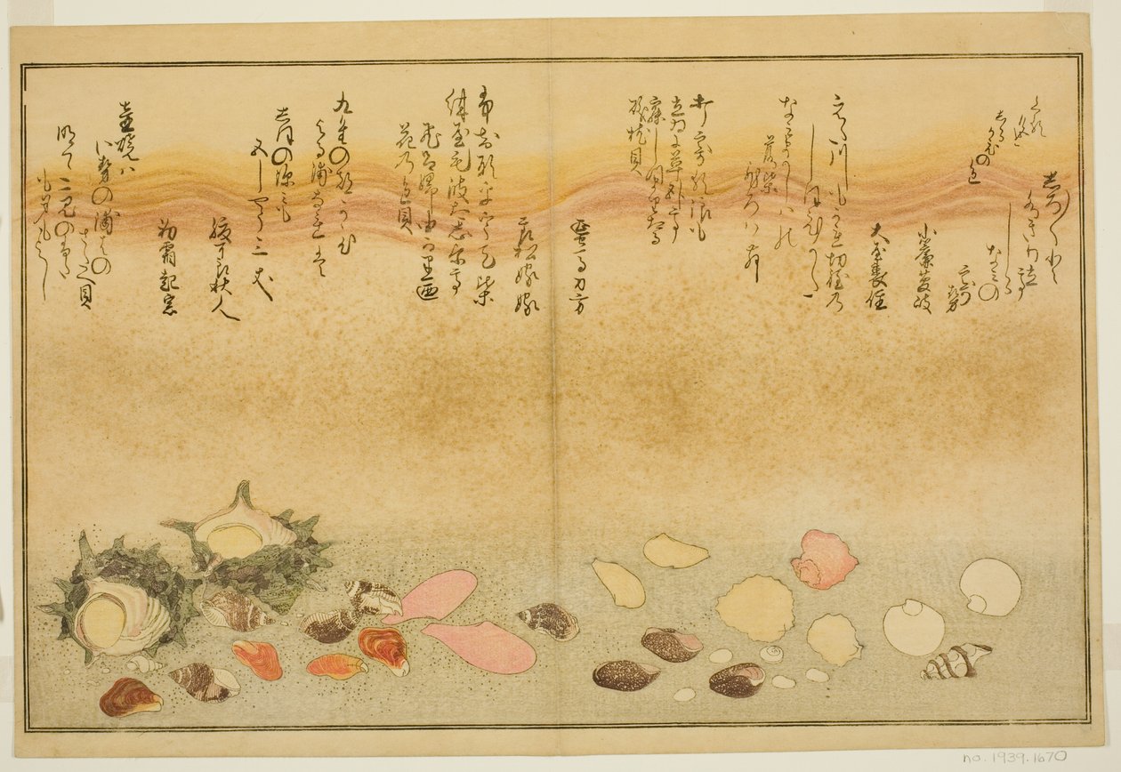 Shiro-gai, namima-gashiwa, makura-gai, iro-gai, aza-gai, sadae-gai, du livre illustré "Cadeaux de la Marée Basse (Shiohi no tsuto)" - Kitagawa Utamaro