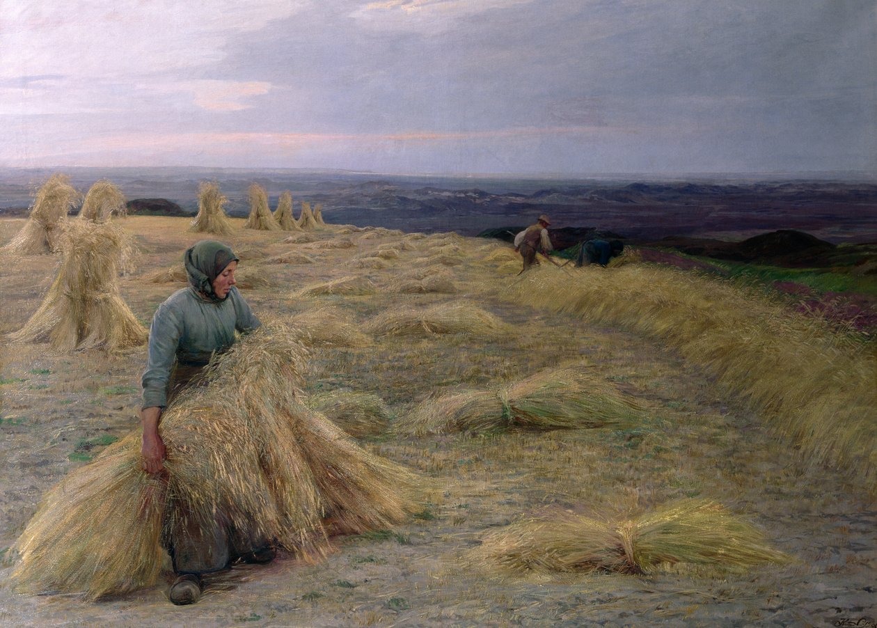 Les moissonneurs, Svinklov-Viildemosen, Jutland - Knud Larsen