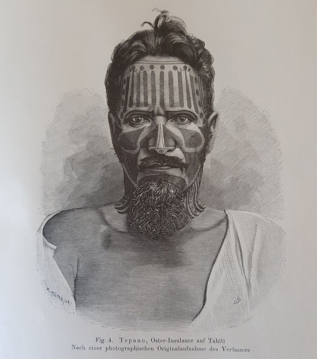 Juan Tepano, illustration de "Über die Tätowirung der Oster-Insulaner" par Hjalmar Stolpe - Knut Hjalmar (after) Stolpe