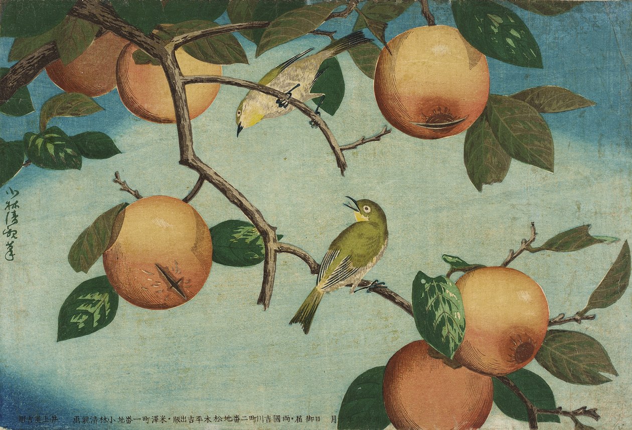 Les kakis et les oeil-blancs - Kobayashi Kiyochika