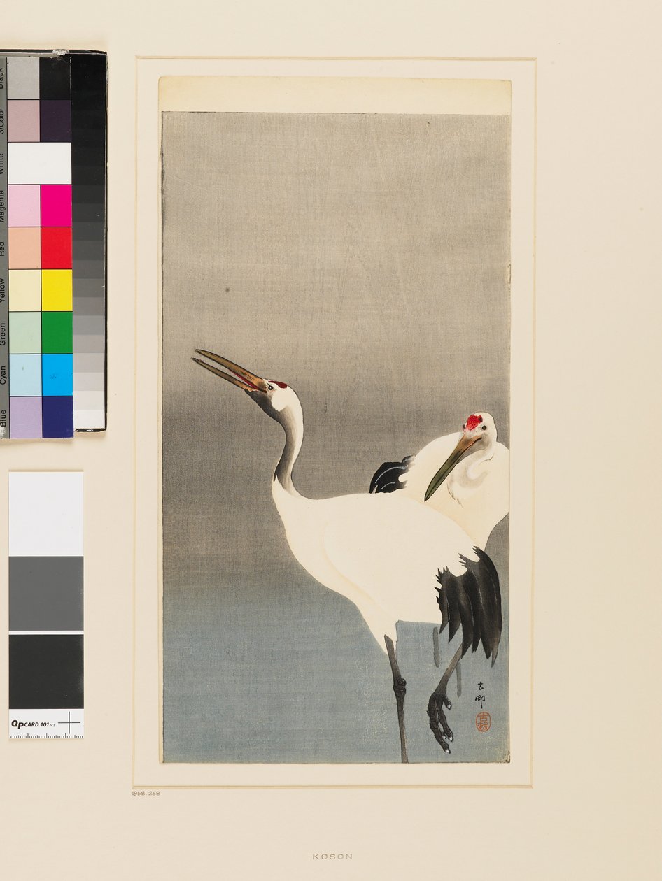 Deux grues japonaises pataugeant dans un étang - Koson Ohara