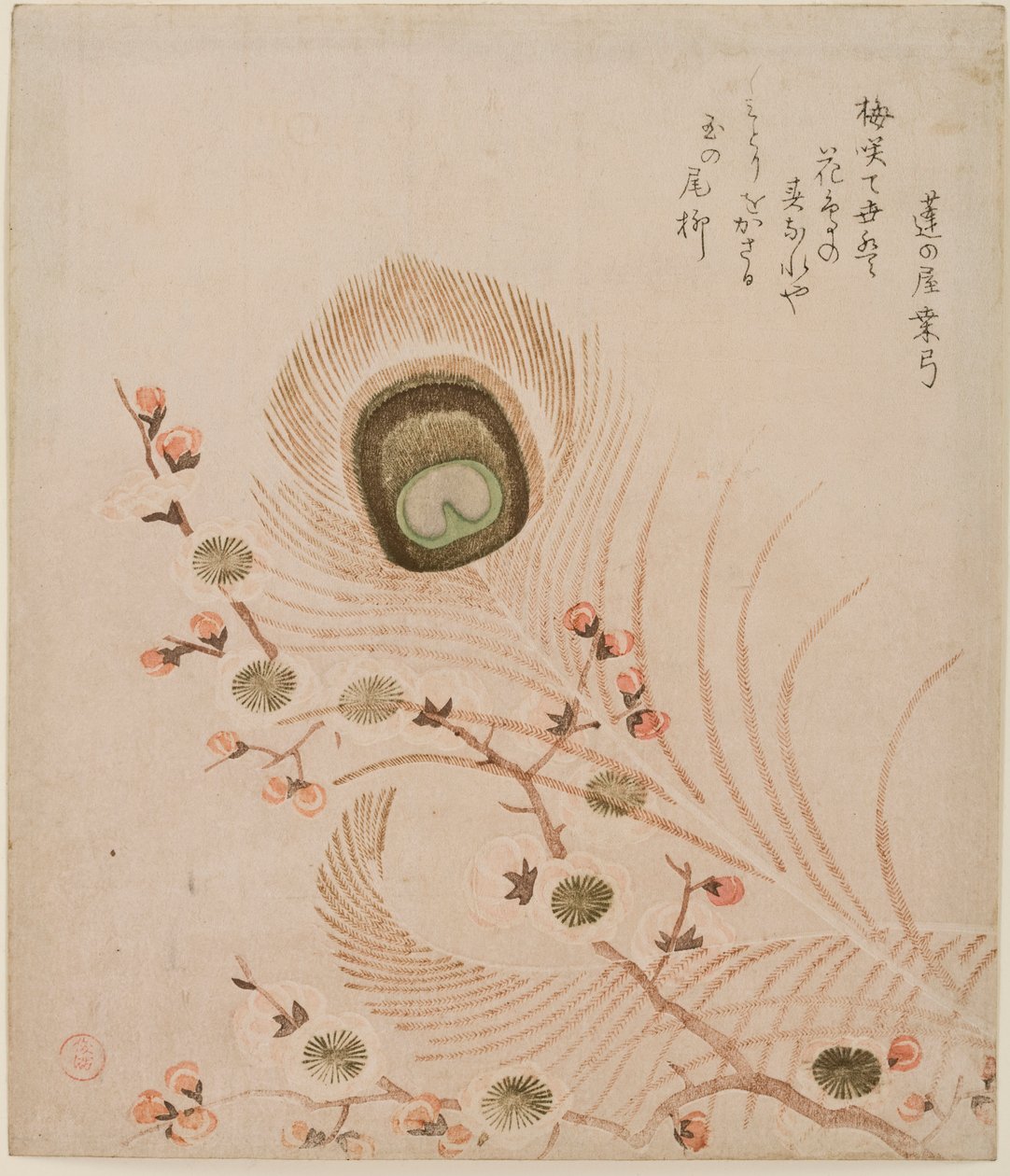 Branche de prunier et plumes de paon, milieu à fin des années 1810 - Kubo Shumman
