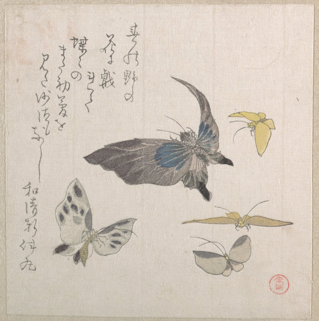 Papillons - Kubo Shunman