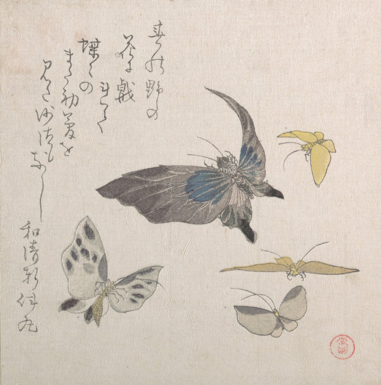 Papillons, 19ème siècle - Kubo Shunman