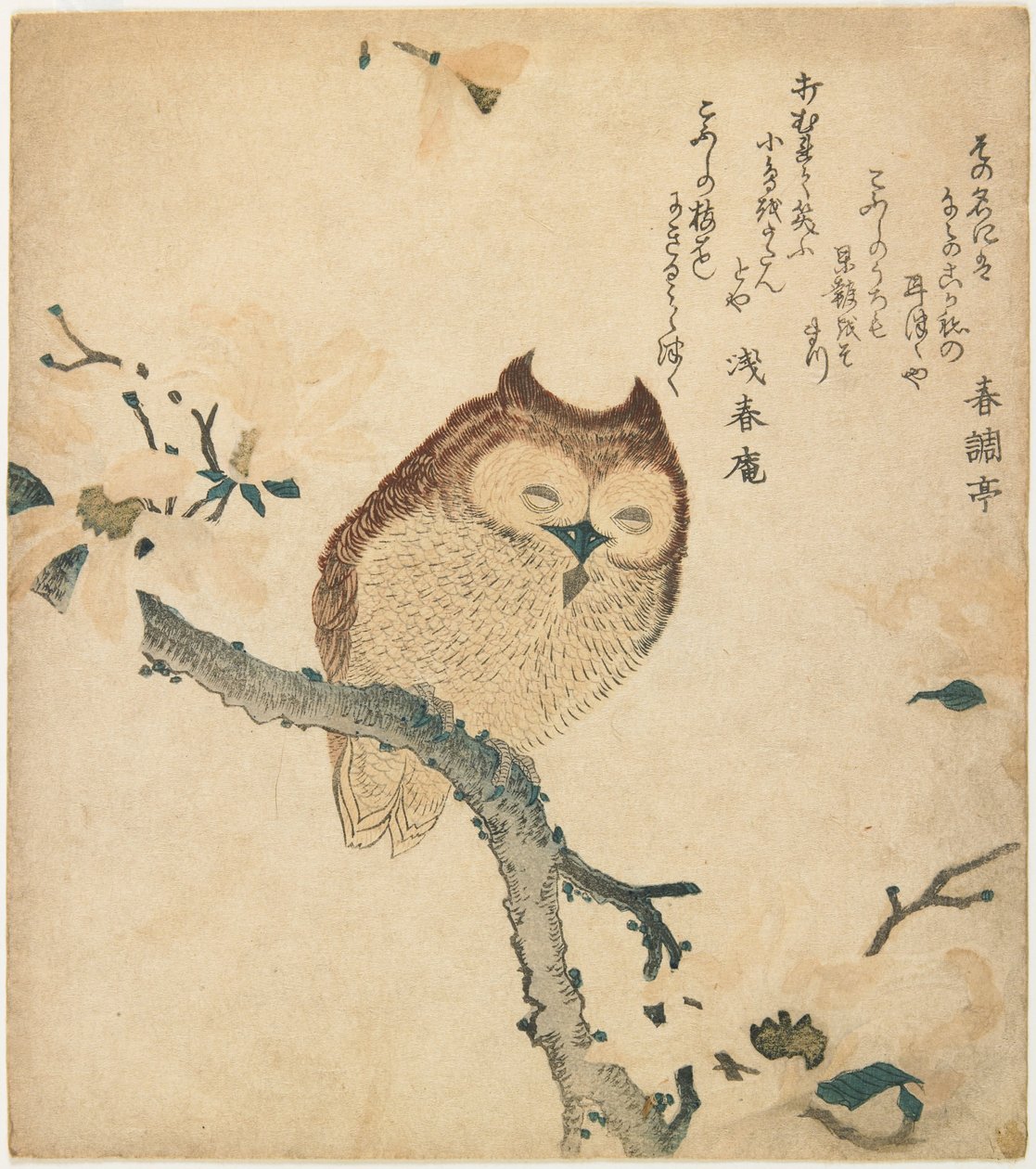 Chouette cornue sur une branche en fleurs - Kubo Shunman
