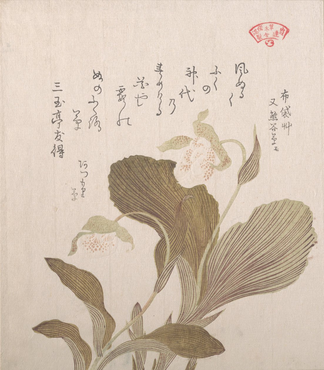 Fleurs de Hotei - Kubo Shunman