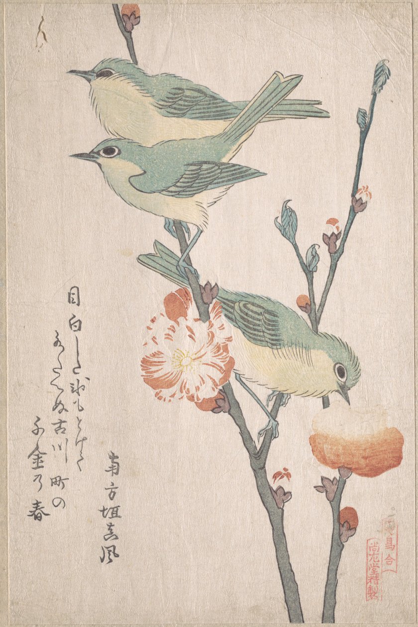 « Des oeil-blancs du Japon sur une branche de pêcher », tiré de la série « Une multitude d’oiseaux » (Tori awase), issue de l’album de surimono « Pluie de printemps » (Harusame surimono-jō, vol. 3) - Kubo Shunman