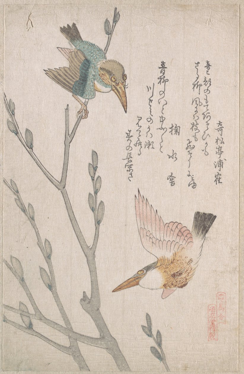 Martin-pêcheurs et saules pleureurs - Kubo Shunman