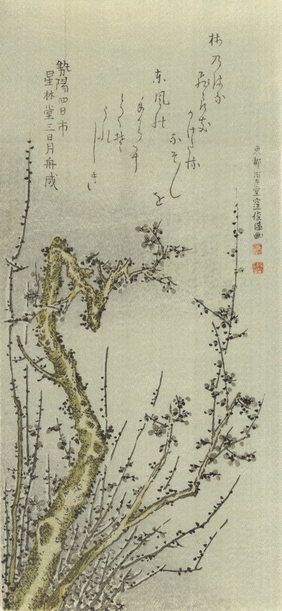 Vieux prunier - Kubo Shunman