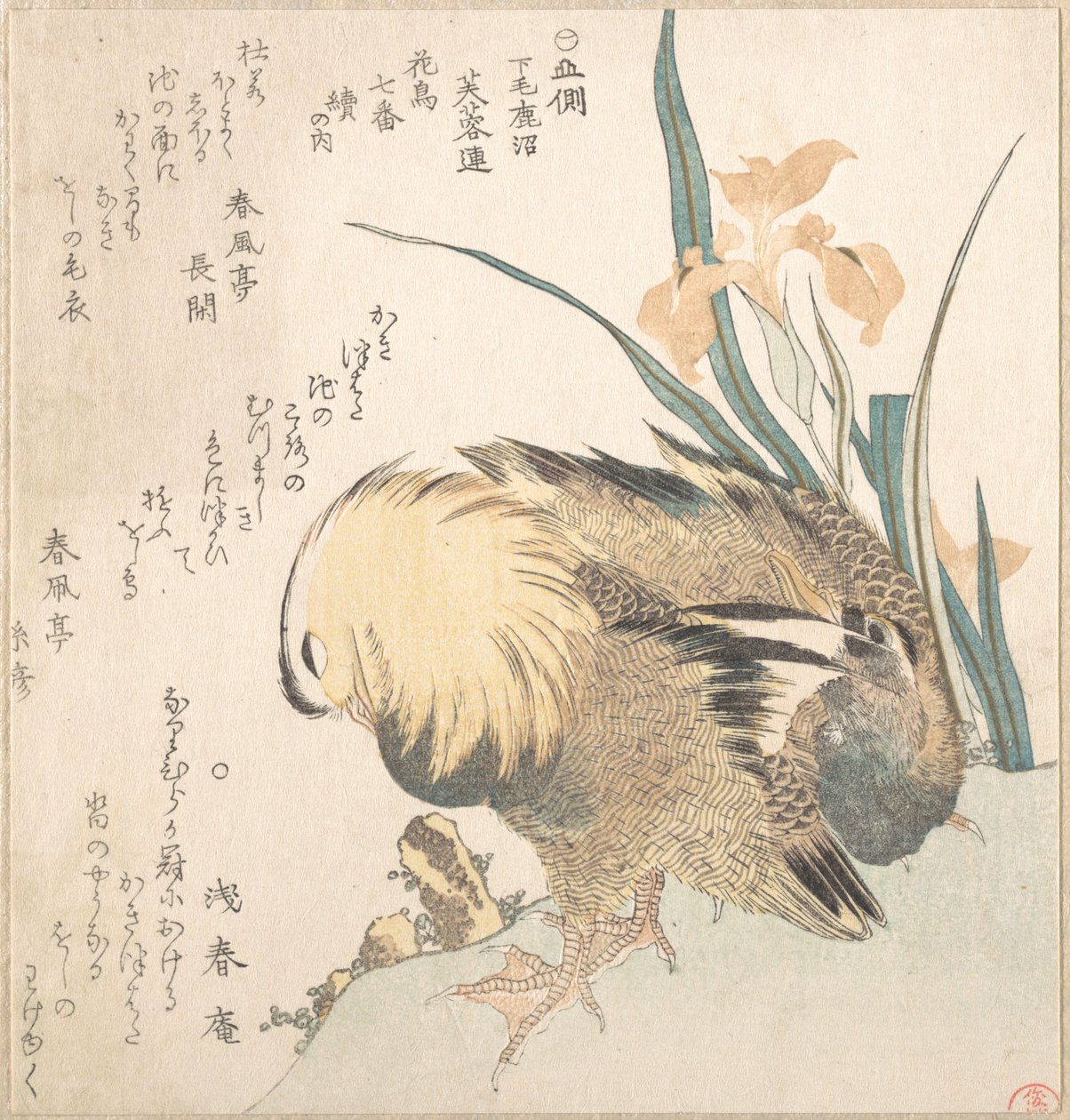 Un couple de canards mandarins et des fleurs d