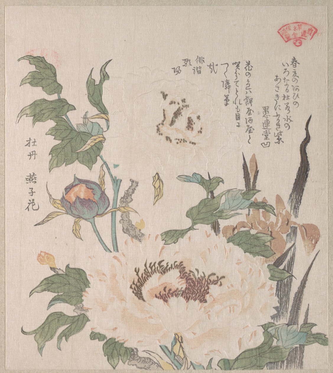 Pivoines et iris - Kubo Shunman