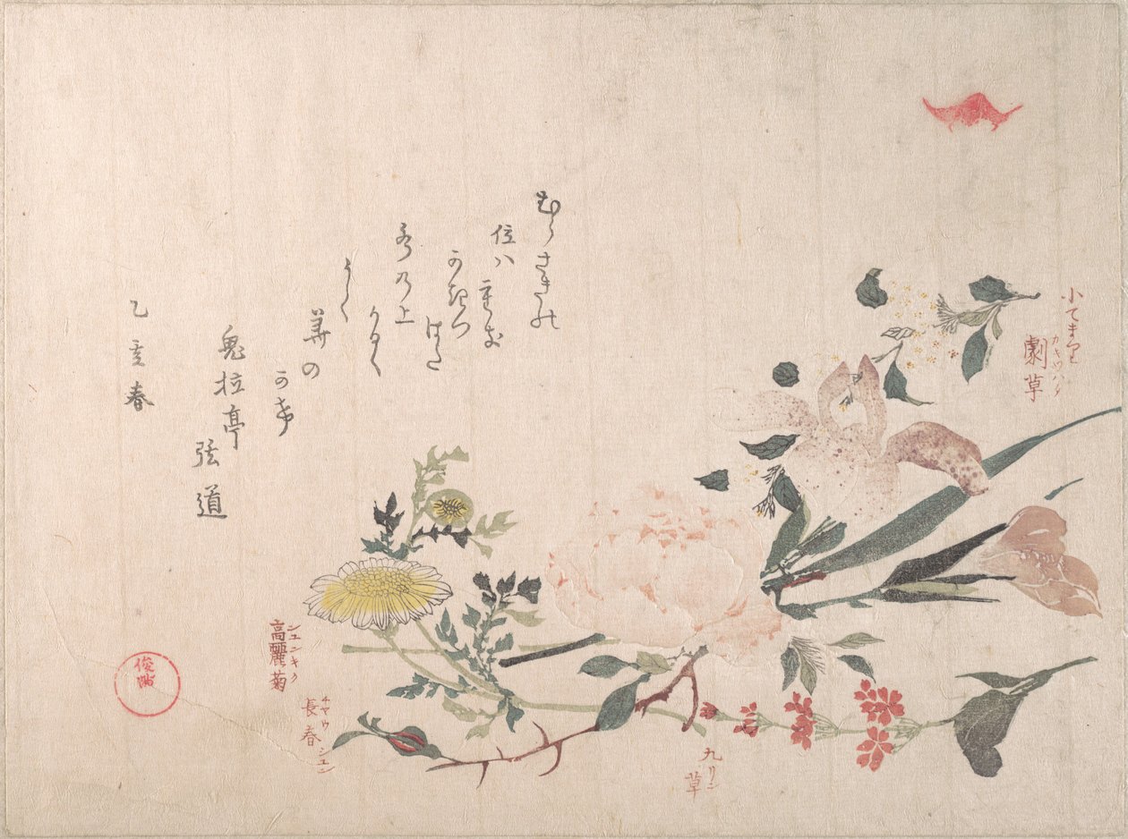 Rose, iris, primevère et marguerite - Kubo Shunman