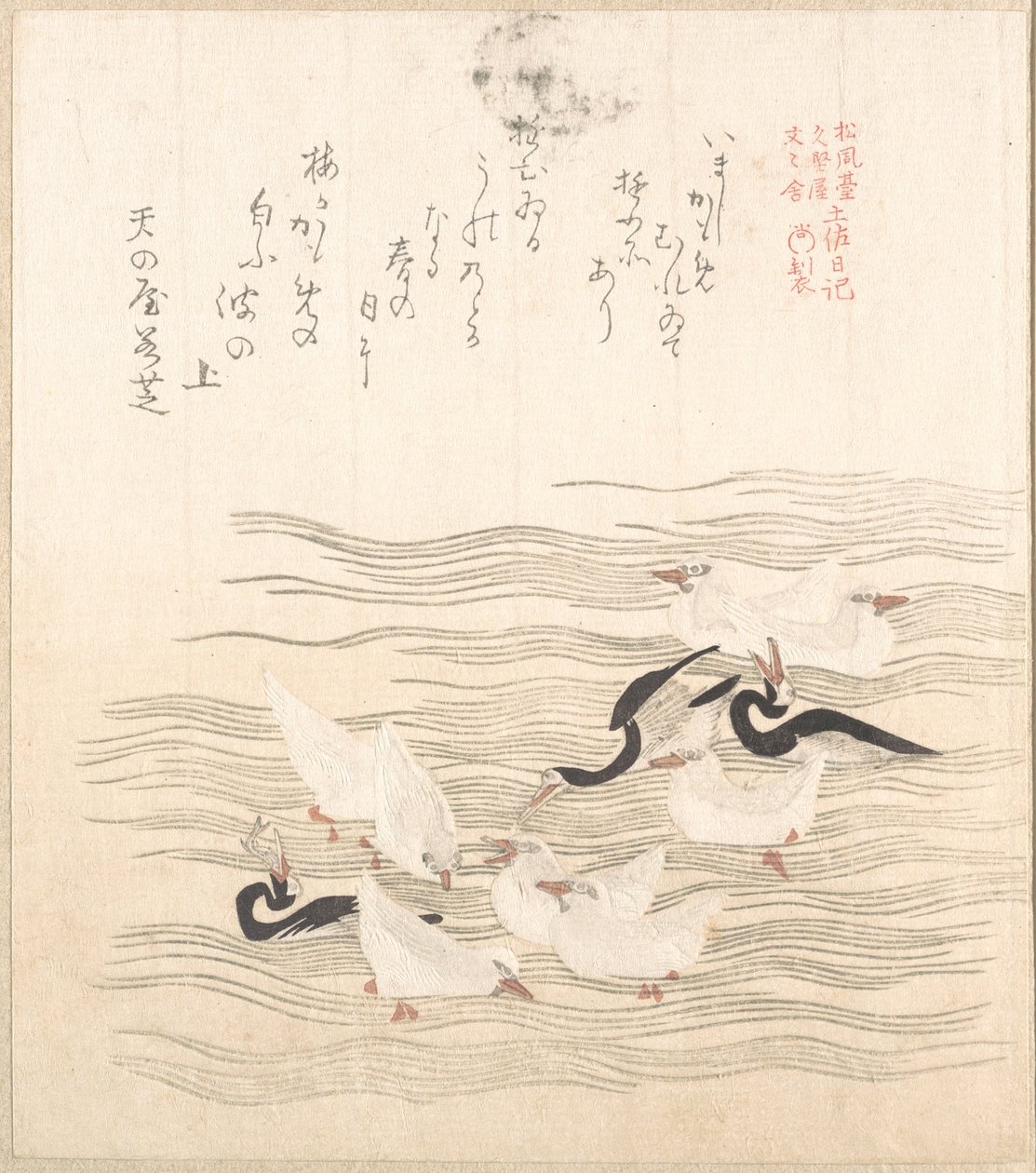 Des mouettes qui s