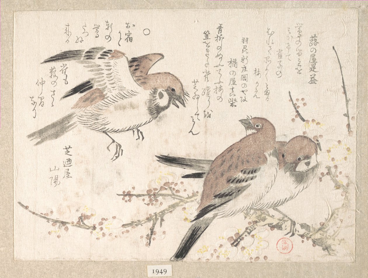 Moineaux et fleurs de prunier - Kubo Shunman
