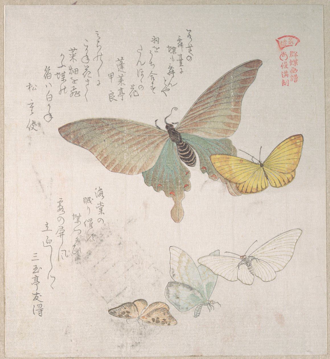Divers papillons de nuit et papillons diurnes - Kubo Shunman
