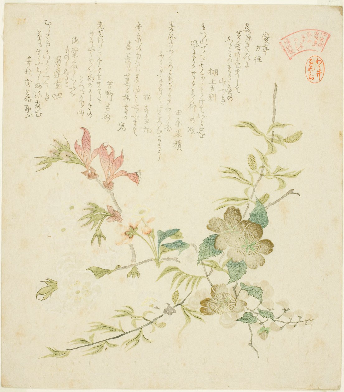 Diverses fleurs de printemps, de la série "Plantes et arbres printaniers pour le cercle de poésie Kasumi du groupe Yomo (Yomogawa Kasumi-ren haru no kusaki no uchi)" - Kubo Shunman