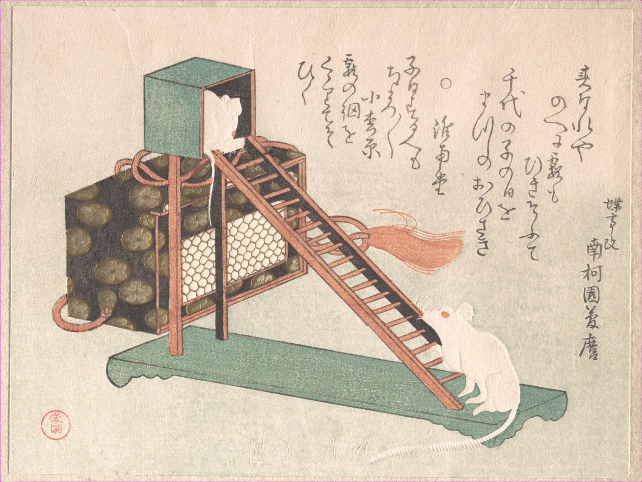Souris blanches jouant - Kubo Shunman