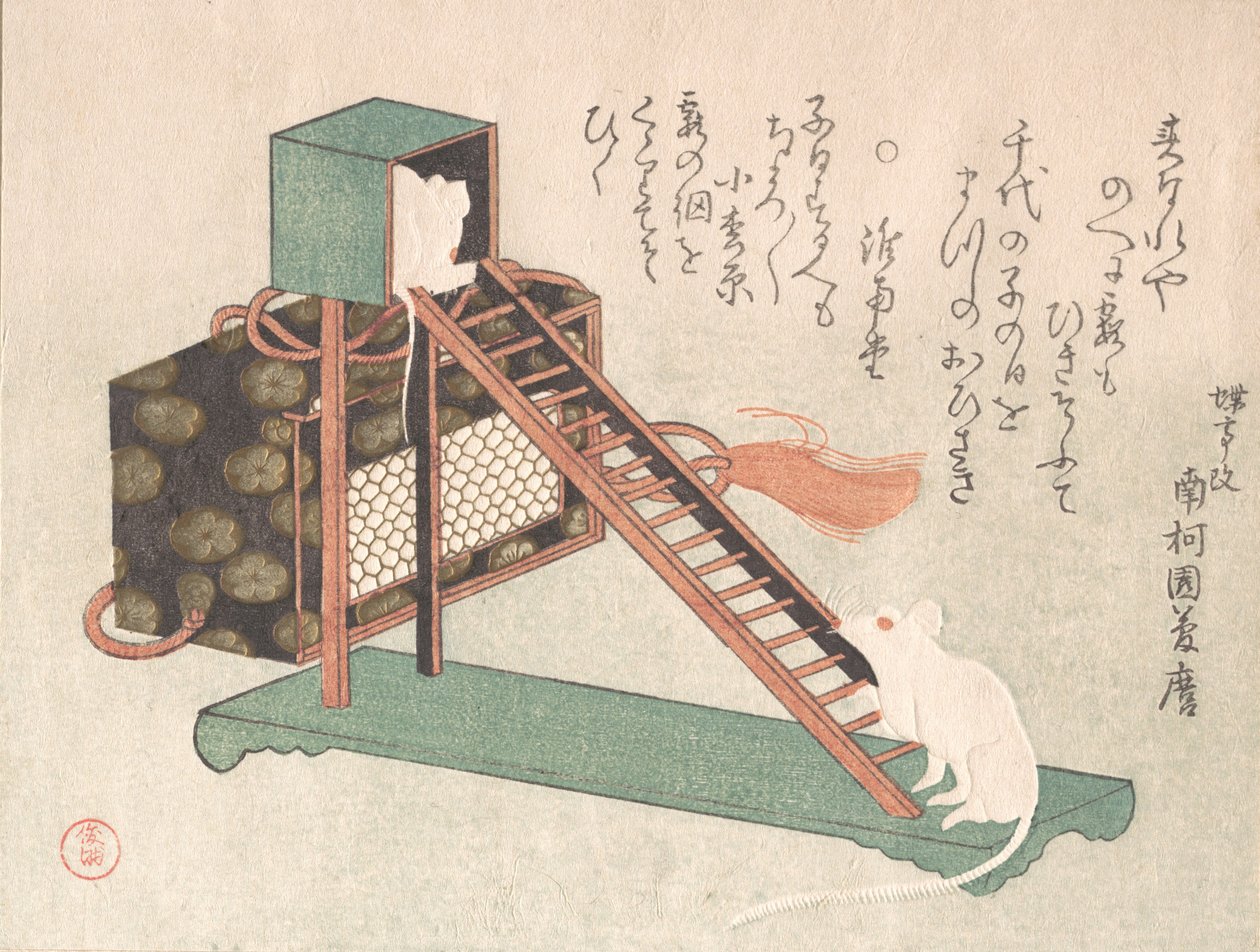 Souris blanches jouant - Kubo Shunman