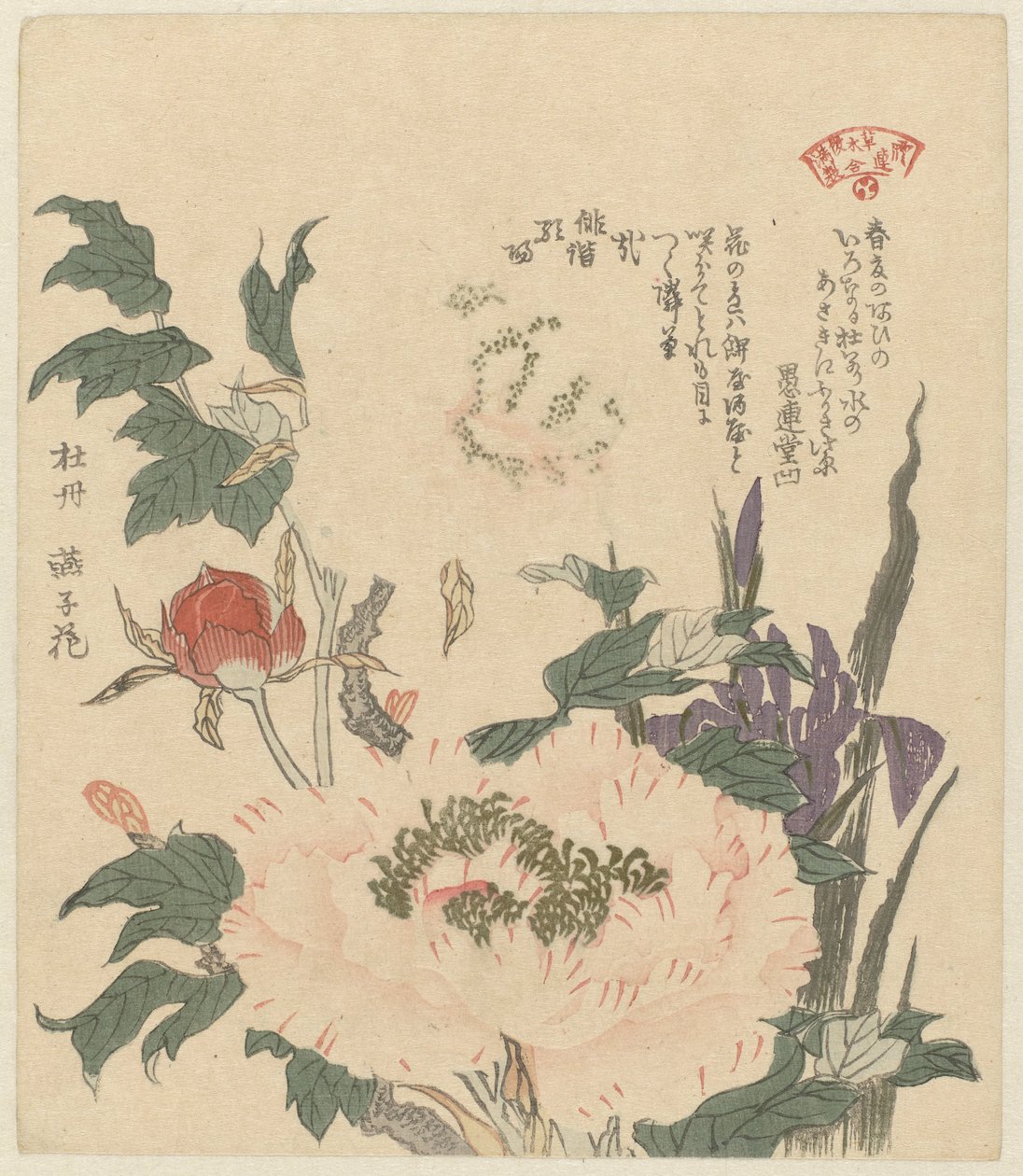 Pivoines et iris - Kubota Shunman