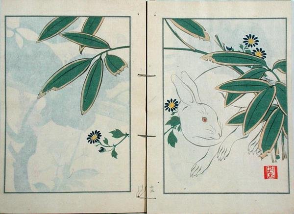 Le lapin, d