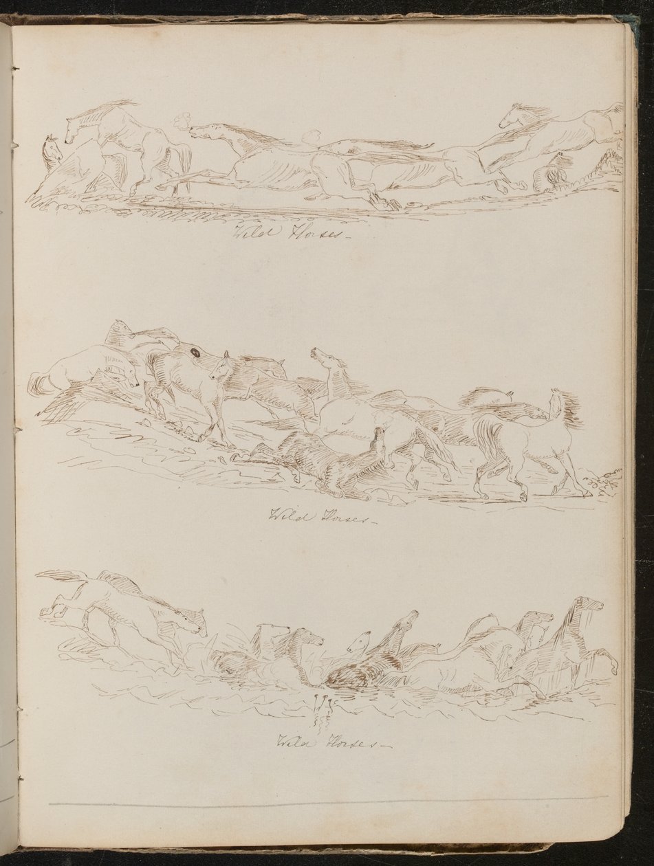 Trois études de chevaux galopant librement - Lady Butler