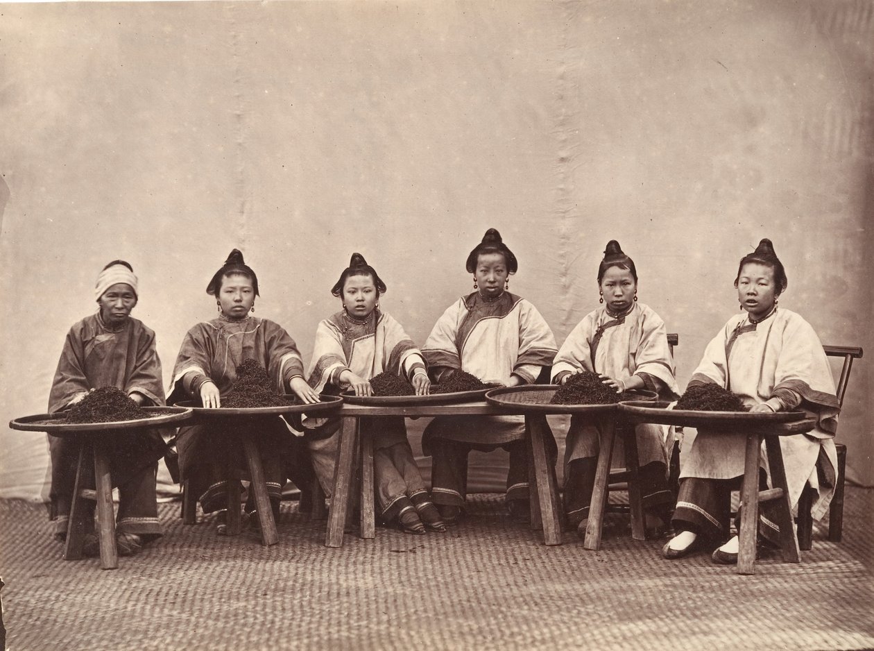 Récolte de thé, vers 1869 - Lai Fong.