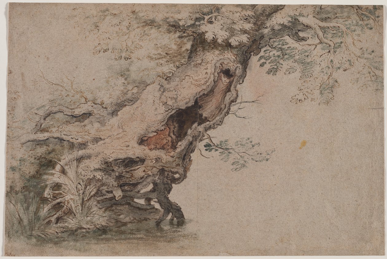 Arbre Creux, d