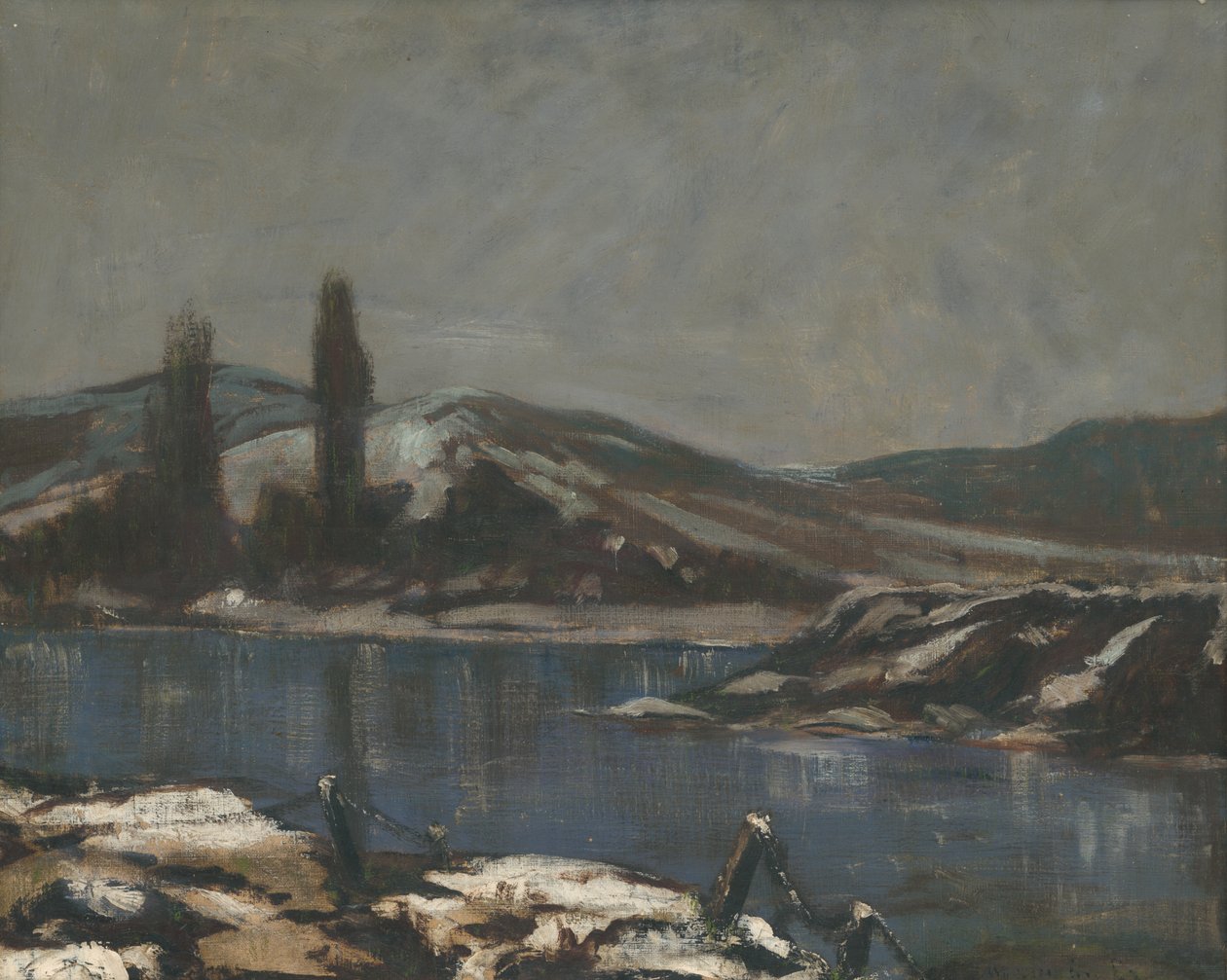 Paysage de Považská - Laszlo Mednyanszky