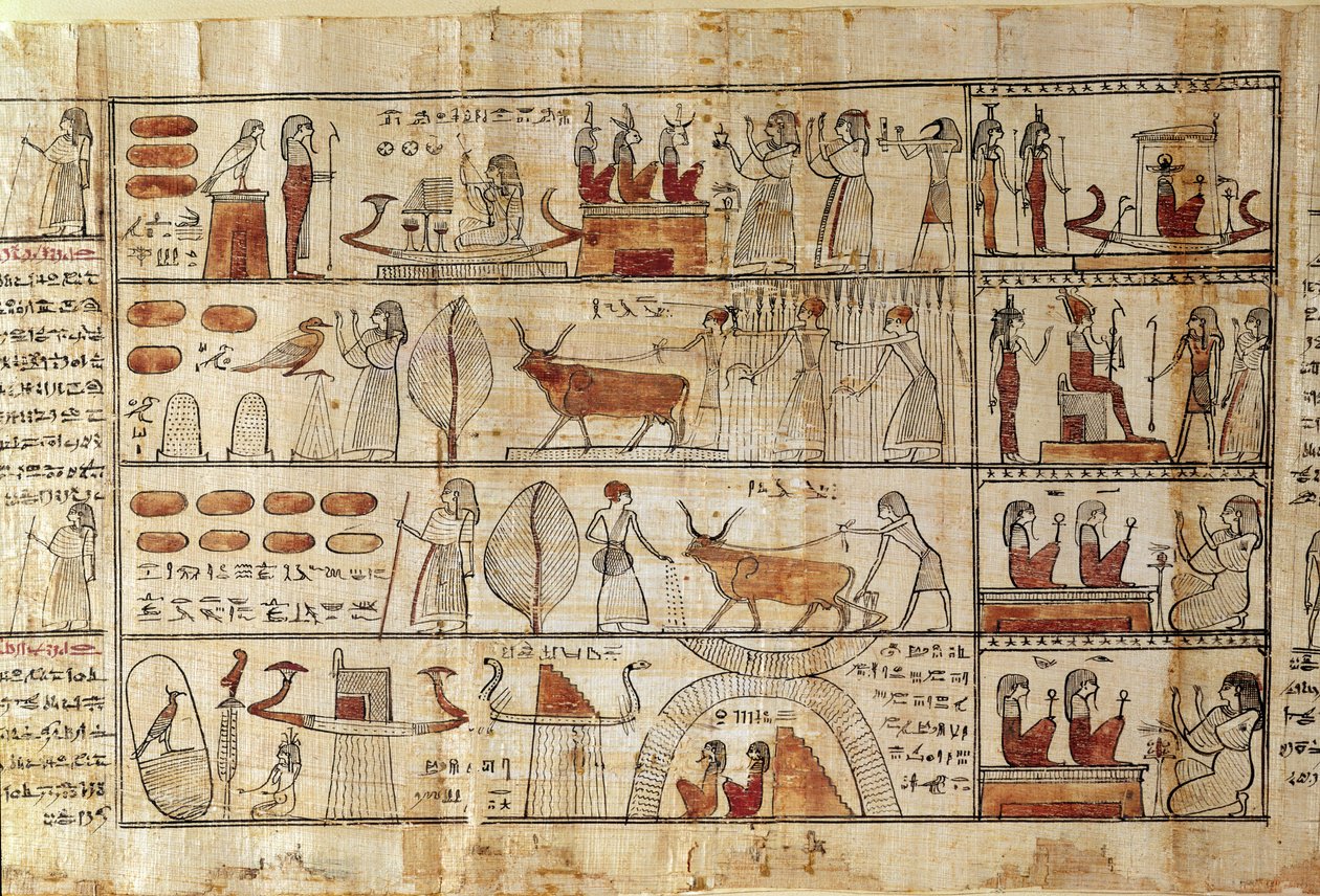 Scènes agricoles, détail du Livre des Morts de Tsekhons (papyrus) - Late Period Egyptian