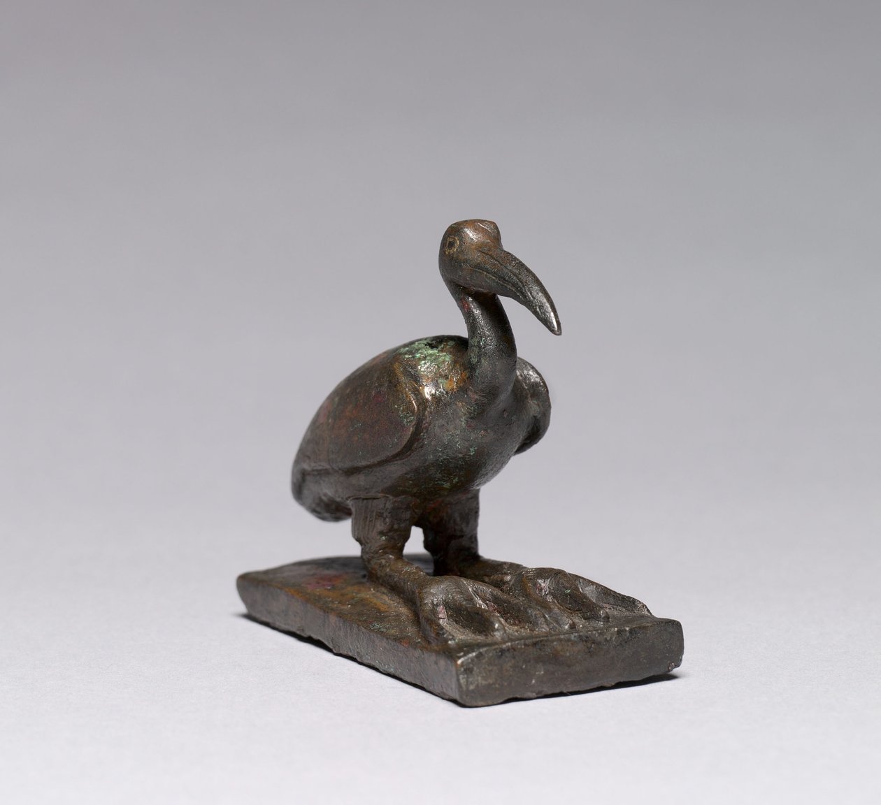 Ibis, 664-30 av. J.-C. - Late Period Egyptian