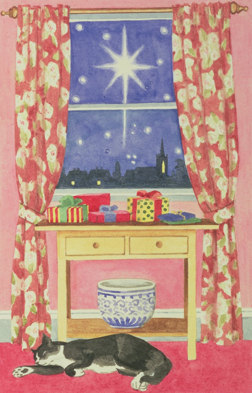 Nuit étoilée - Lavinia Hamer