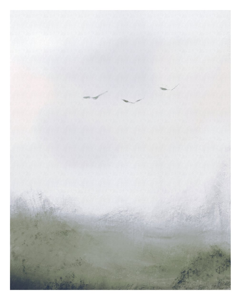 Oiseaux volant au-dessus d