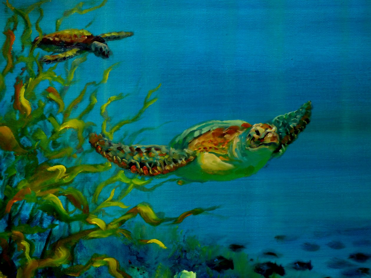 Tortue verte, 2018 - Lee Campbell