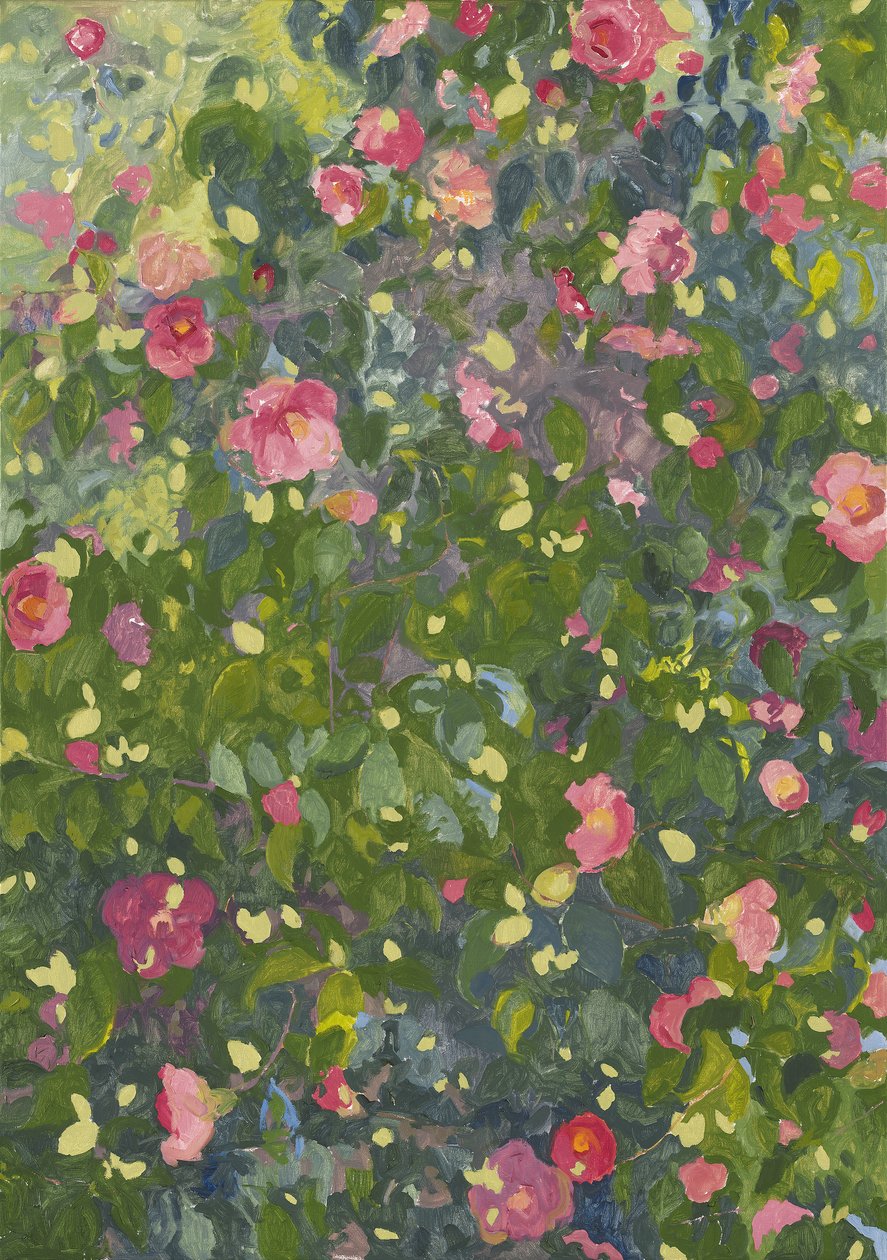 Camélia en fleur, 2014 - Leigh Glover
