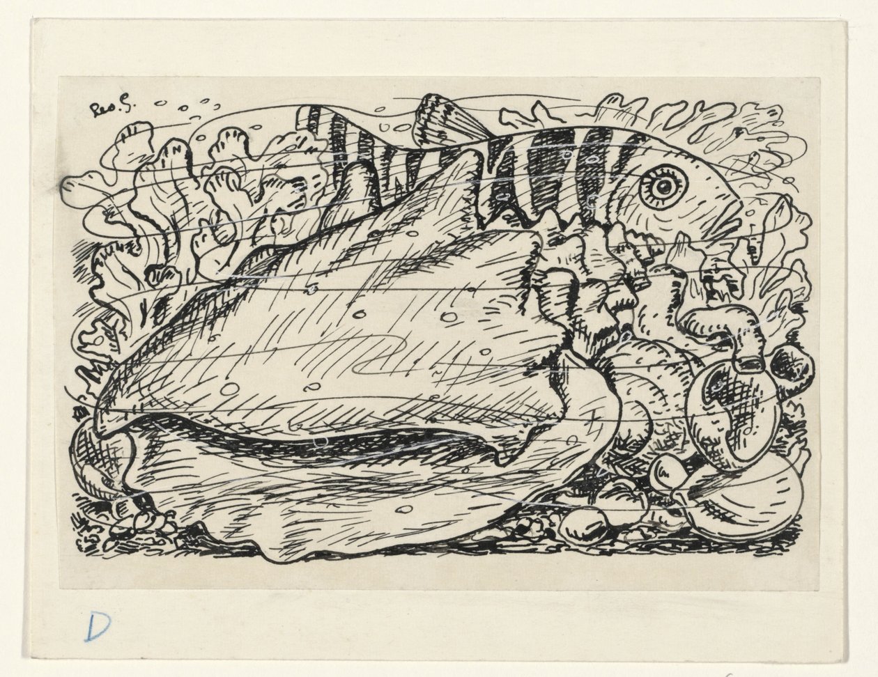 Poisson et coquillage dans l