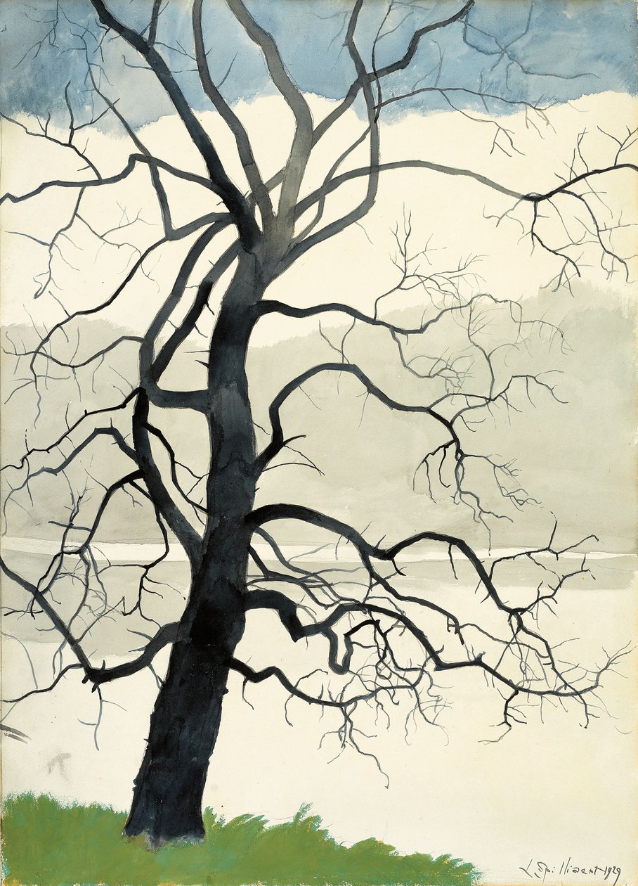 Arbre solitaire au bord de l