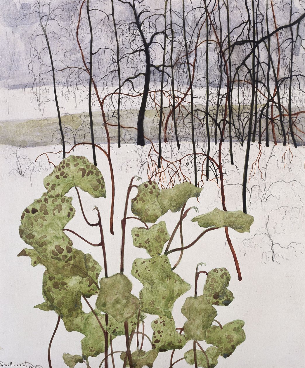 Paysage d