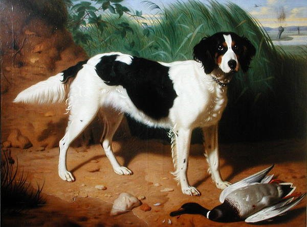 Portrait d