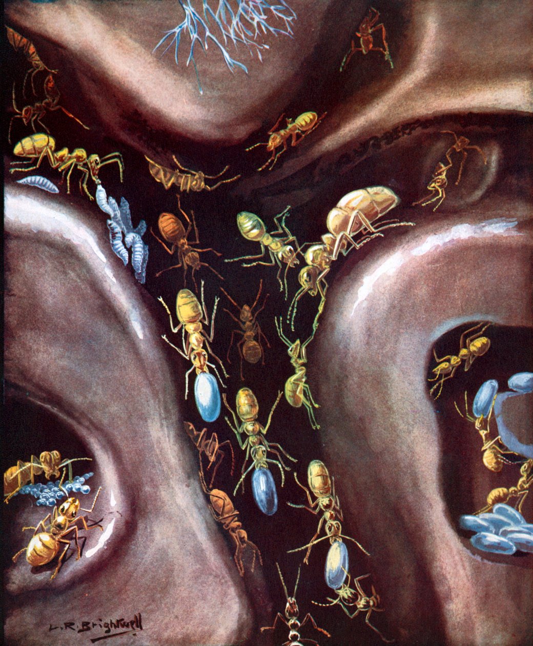 La vie dans une communauté d