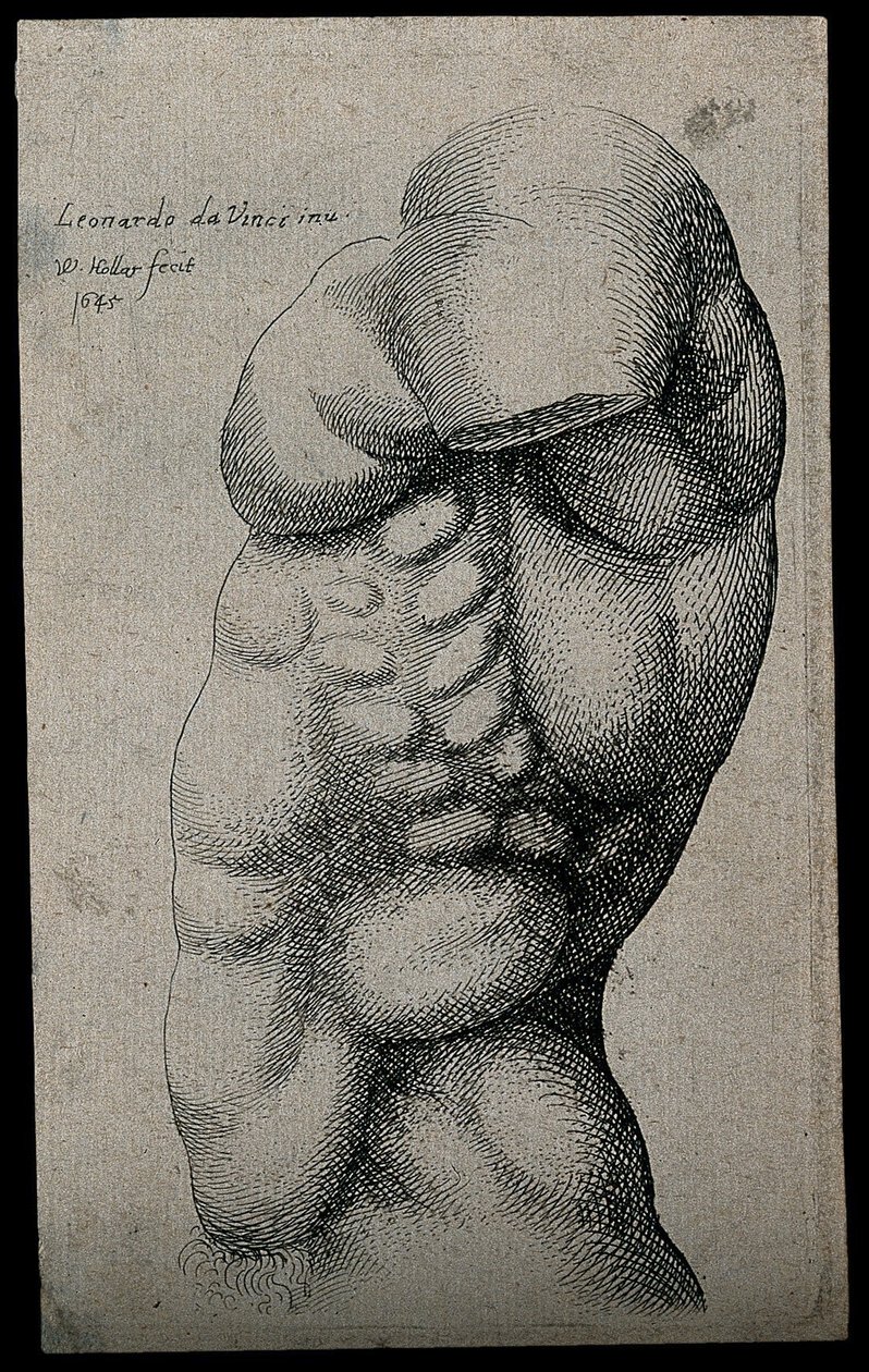 Un Torse Masculin sans Bras - Leonardo da Vinci