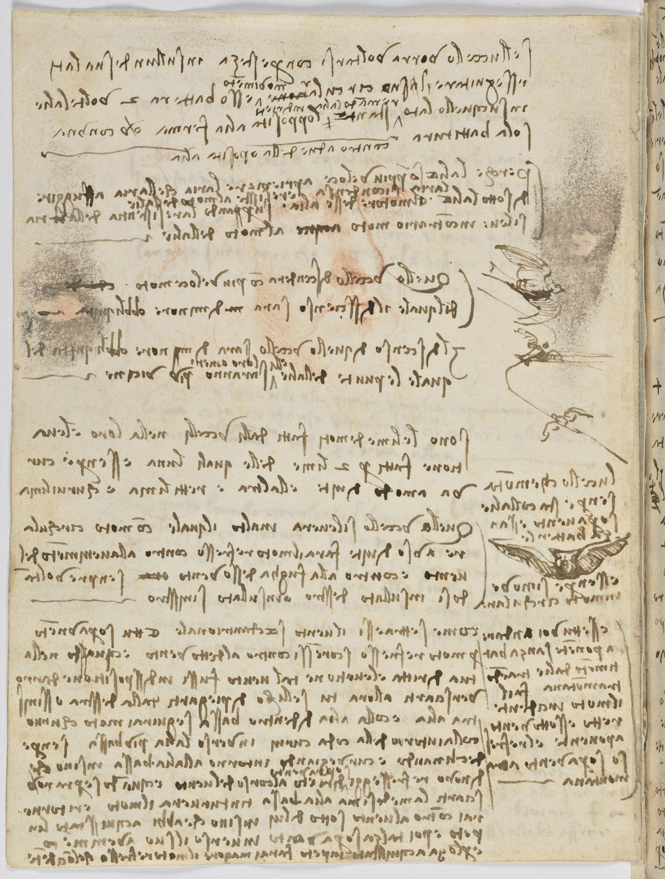 Code sur le vol des oiseaux, c. 1505-06, manuscrit sur papier, cc. 18, feuille 10 verso - Leonardo da Vinci