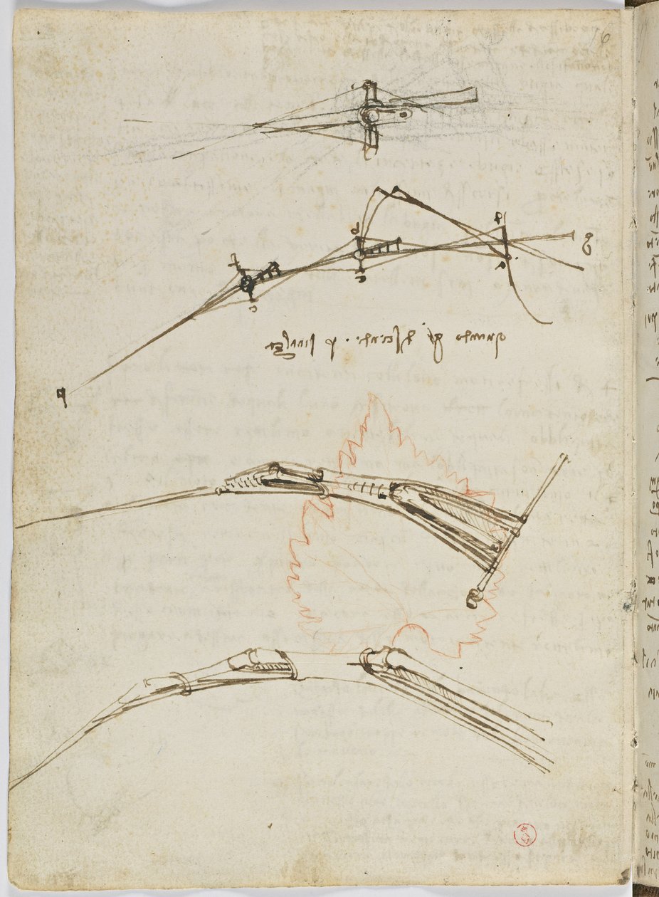 Code sur le vol des oiseaux, c. 1505-06, manuscrit sur papier, cc. 18, feuille 11 verso - Leonardo da Vinci