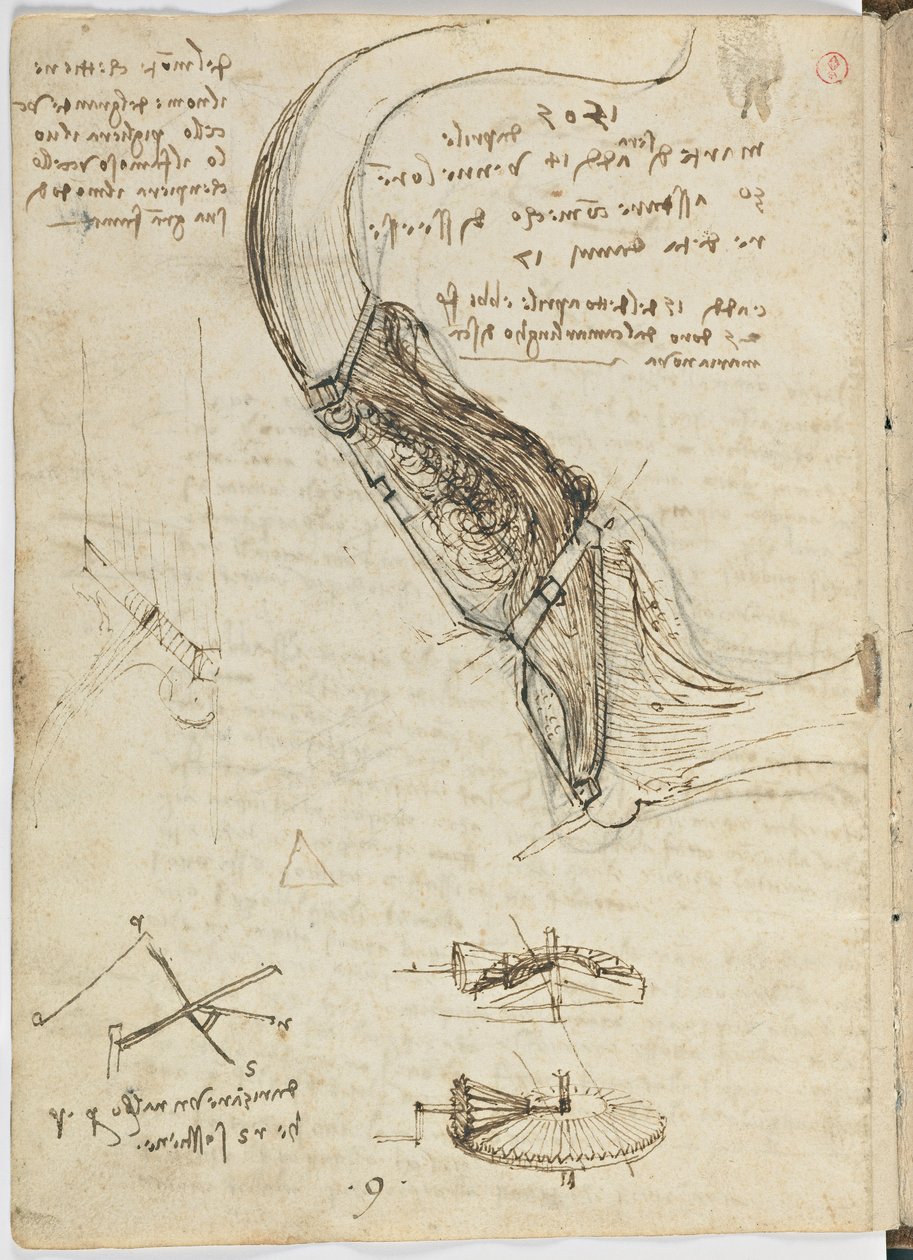 Code de vol des oiseaux, c. 1505-06, manuscrit sur papier, cc. 18, feuille 18 verso - Leonardo da Vinci