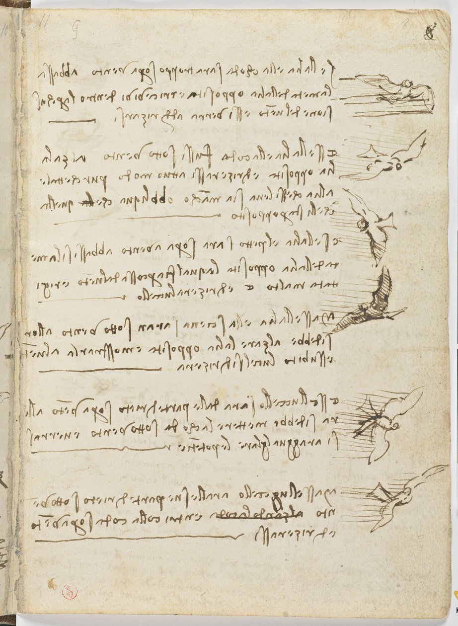 Code sur le vol des oiseaux, c. 1505-06, manuscrit sur papier, cc. 18, feuille 8 recto - Leonardo da Vinci