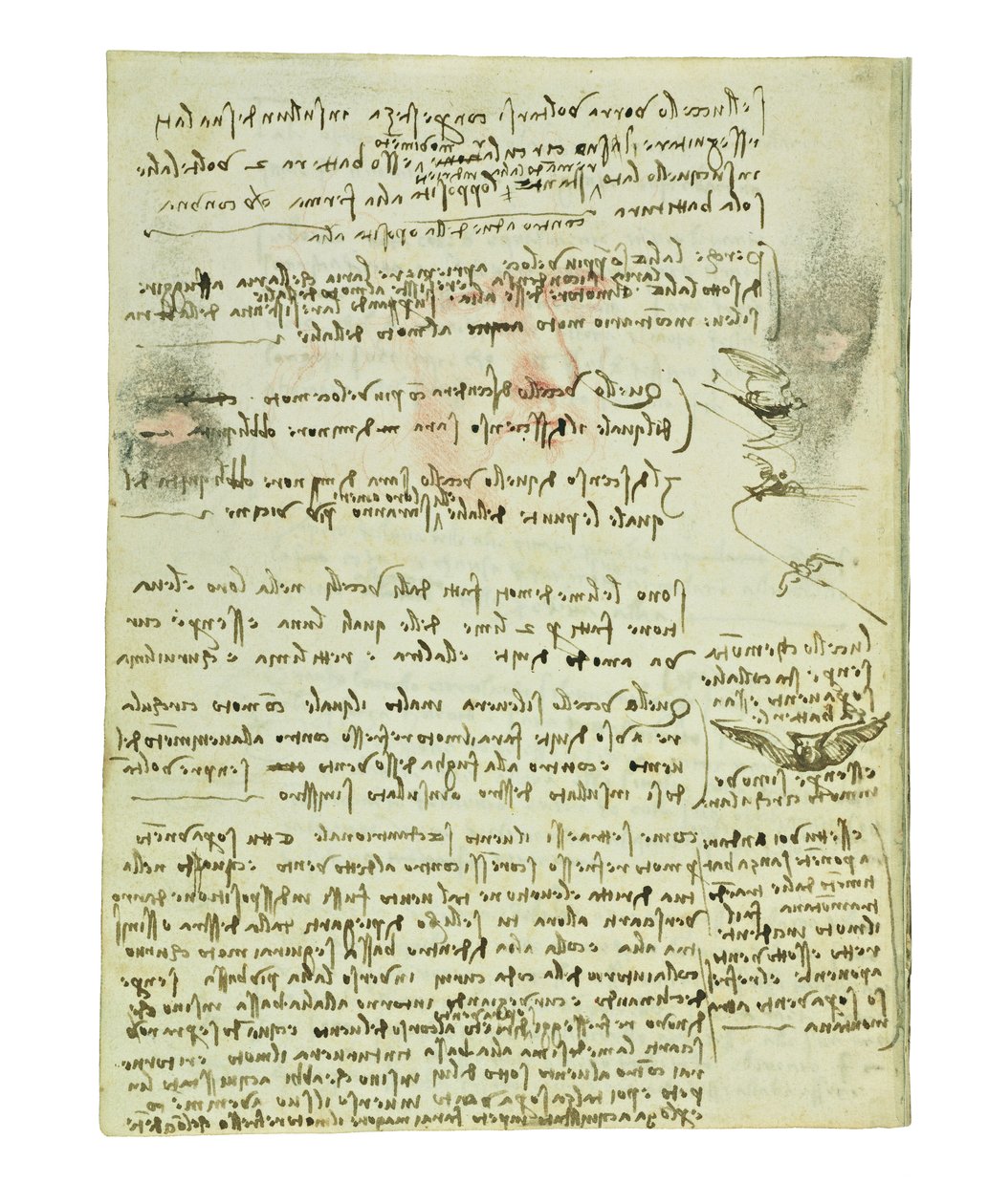 Codex sur le vol des oiseaux, Folio 10 verso - Leonardo da Vinci