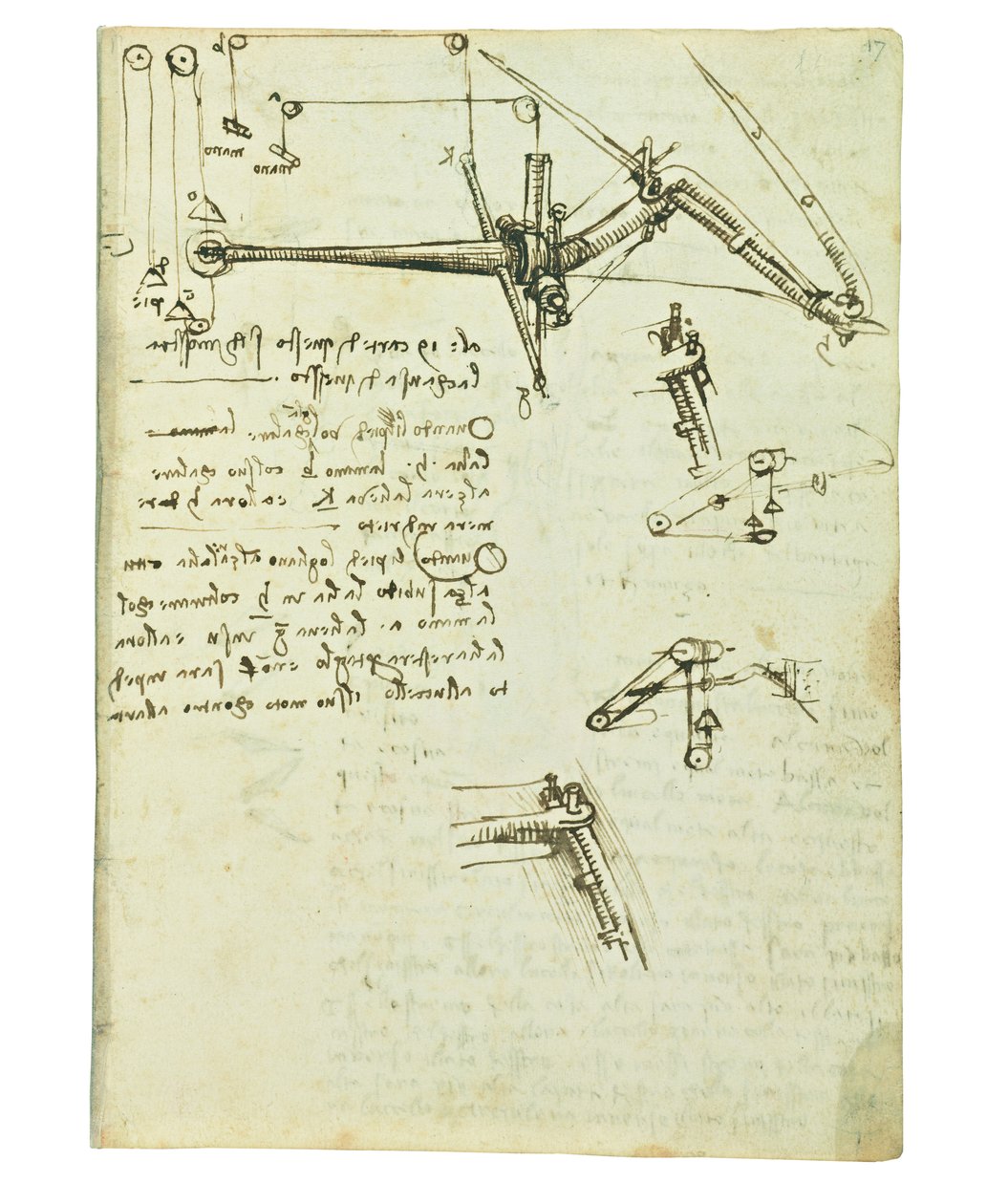 Codex sur le vol des oiseaux, Folio 17 recto - Leonardo da Vinci