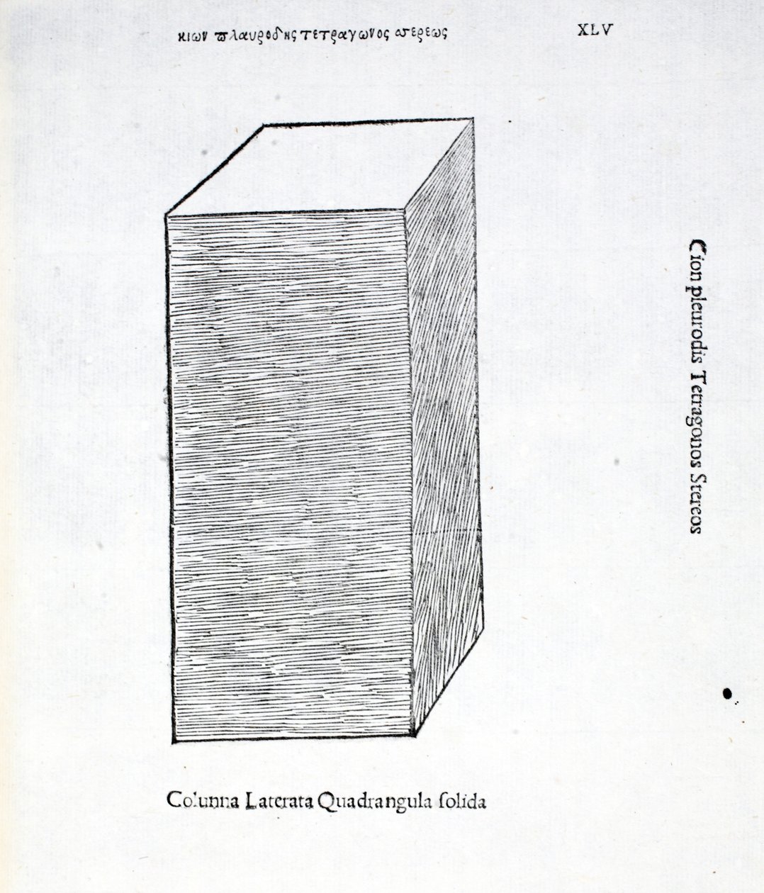Columna laterata quadrangula solida, illustration de 