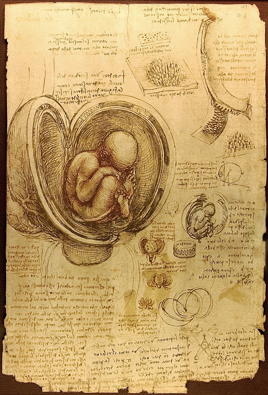 Études d