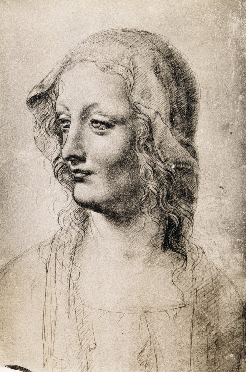Tête de jeune femme - Leonardo da Vinci