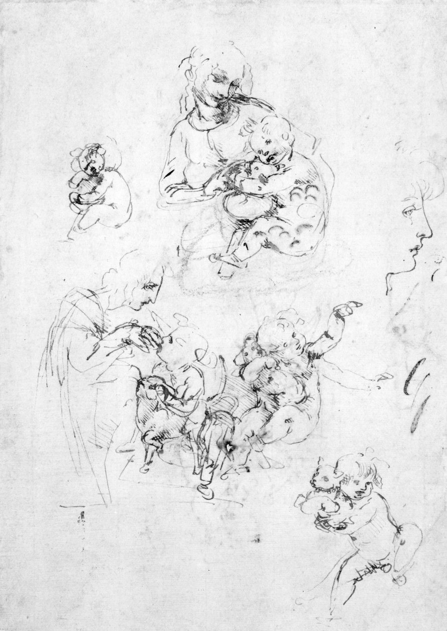 Études pour une Madone avec un chat, vers 1478-80 - Leonardo da Vinci